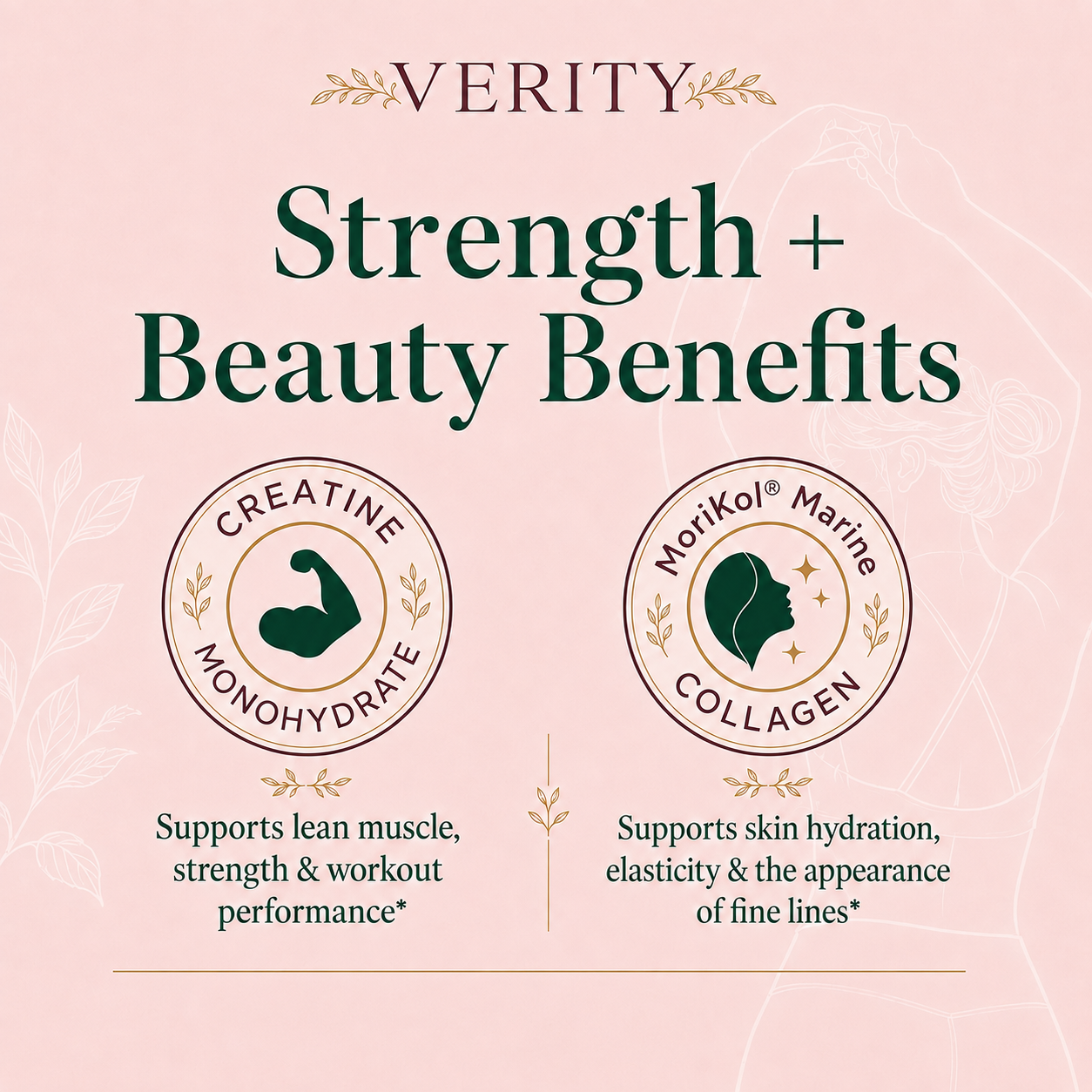Creatine & Collagen Stick Packs